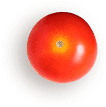 A tomato is shown in this picture.